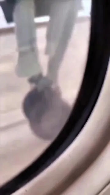 I’m posting the PA announcement the flight attendant made tomorrow