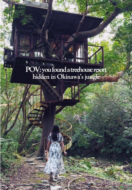 Japan has a treehouse resort hidden in the Okinawa jungle, and it was ranked the No.1 most Inst